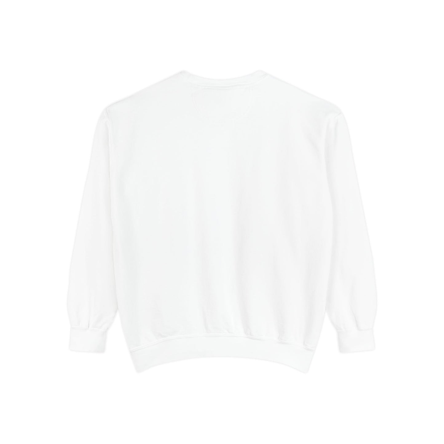 DBT luxury sweatshirt back view — ribbed cuffs and hem