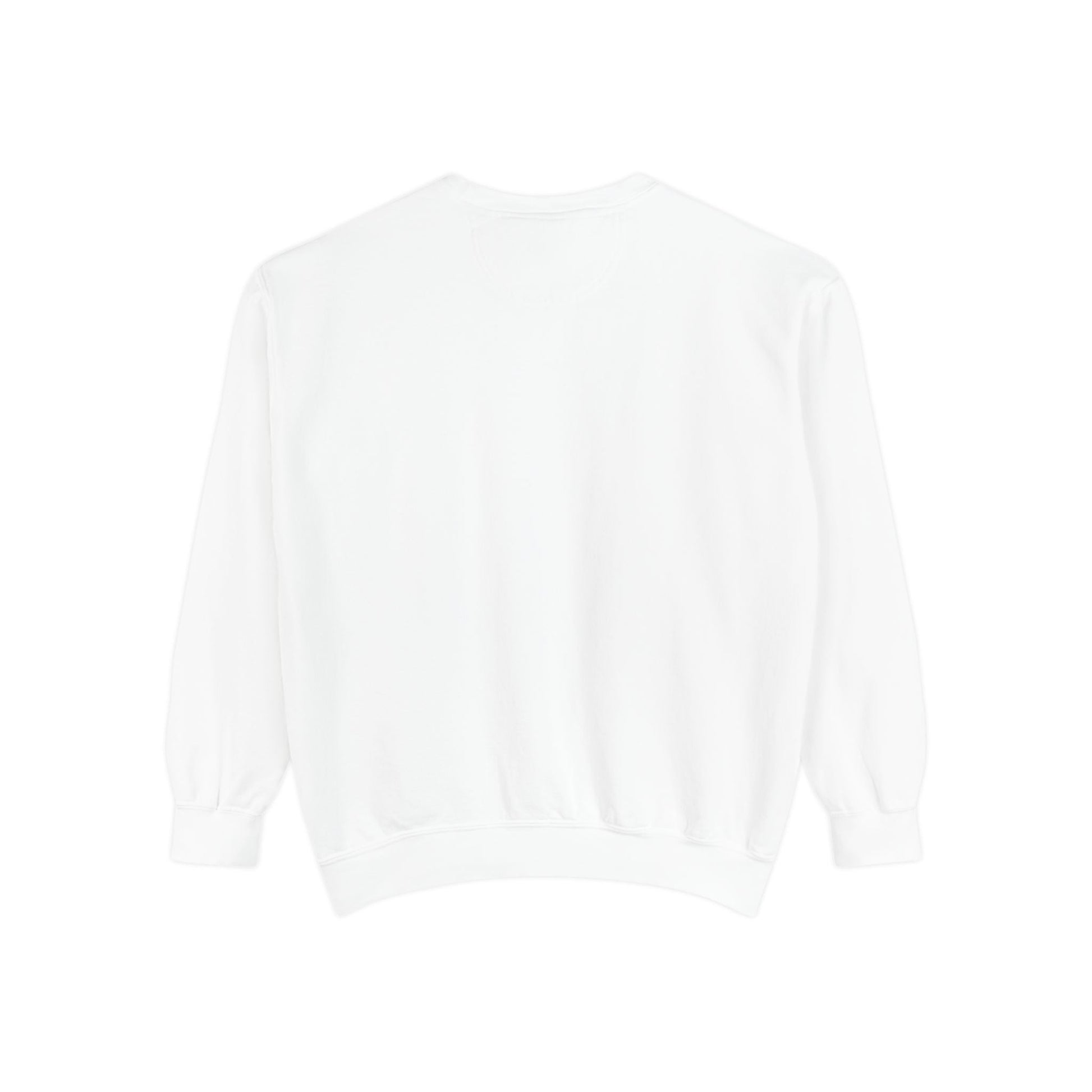 DBT luxury sweatshirt back view — ribbed cuffs and hem