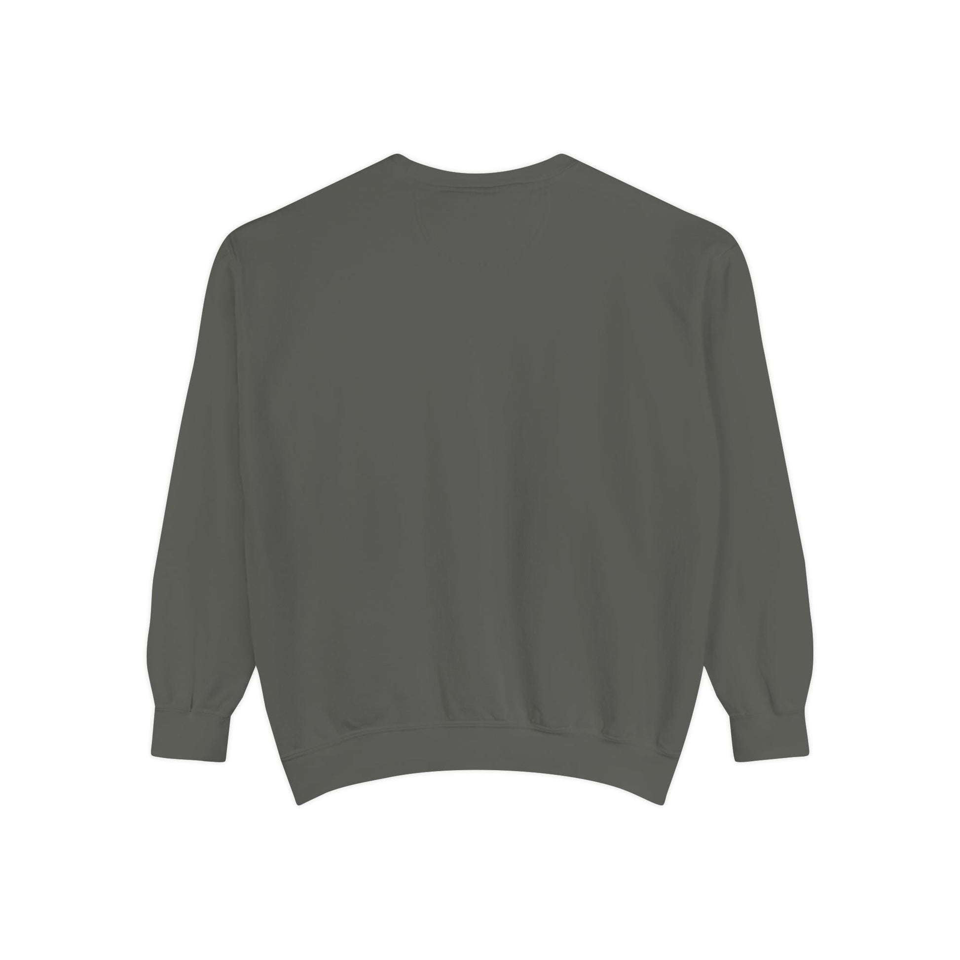 DBT luxury sweatshirt lifestyle — sovereign wellness streetwear